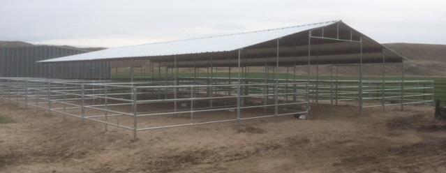 12 STALL OPEN AIR BARN FORT BENTON-MT