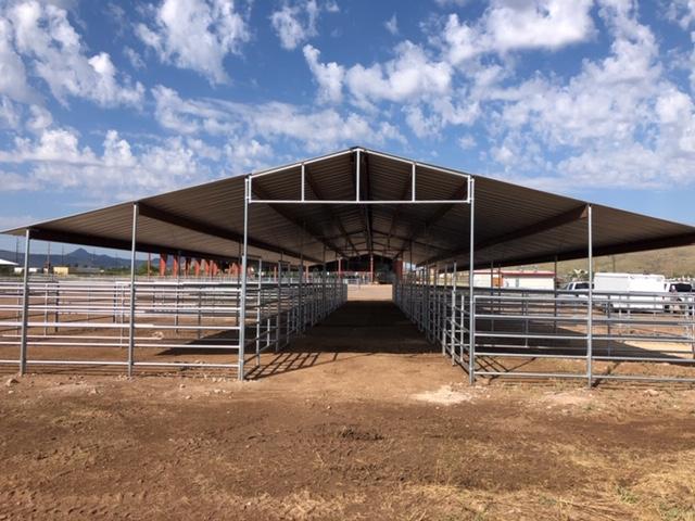 MARE MOTEL SUL-ROSS UNIVERSITY RODEO TEAM  ALPINE, TX 