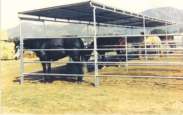 Corral Shades