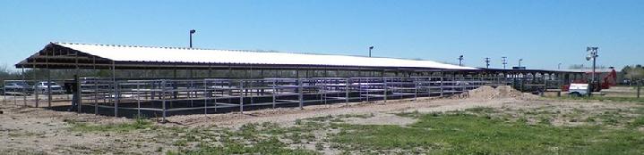 Lonestar Open Air Barn 20 Stalls for Homeland Security Edinberg, TX