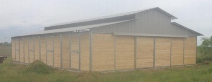Lonestar Custom Barns RCA Tongue and Groove Barn